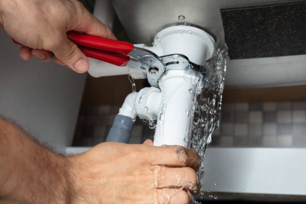Best Carpet water damage restoration  in Brock Hall, MD