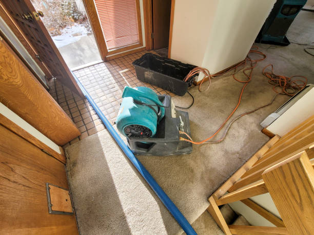 Best Water damage cleanup near me  in Brock Hall, MD