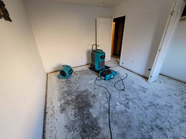 Best 24/7 water damage repair  in Brock Hall, MD