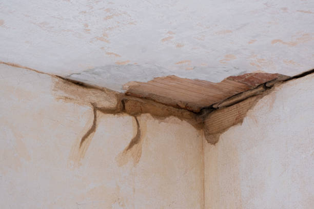 Water damage restoration experts in MD