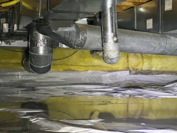 Best Water damage restoration near me  in Brock Hall, MD