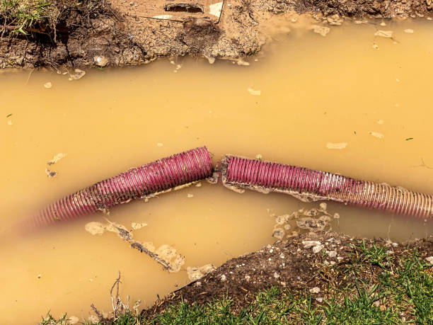 Best 24/7 water damage repair  in Brock Hall, MD